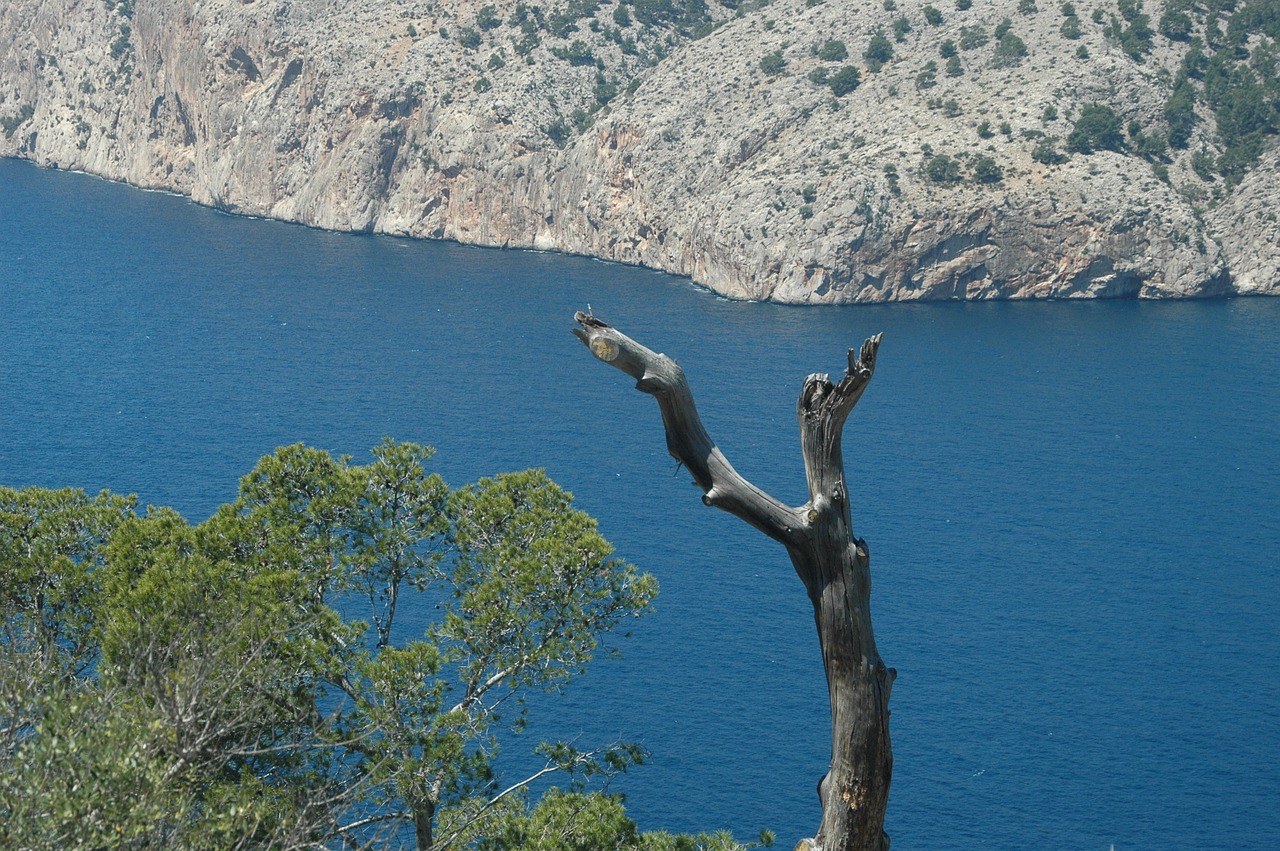 mallorca sea stone free photo