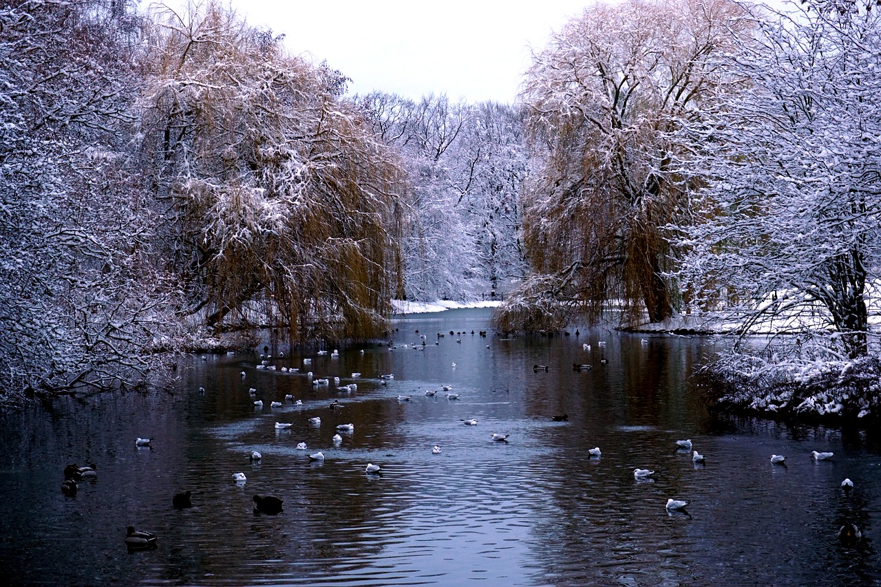 malmö  winter  sweden free photo