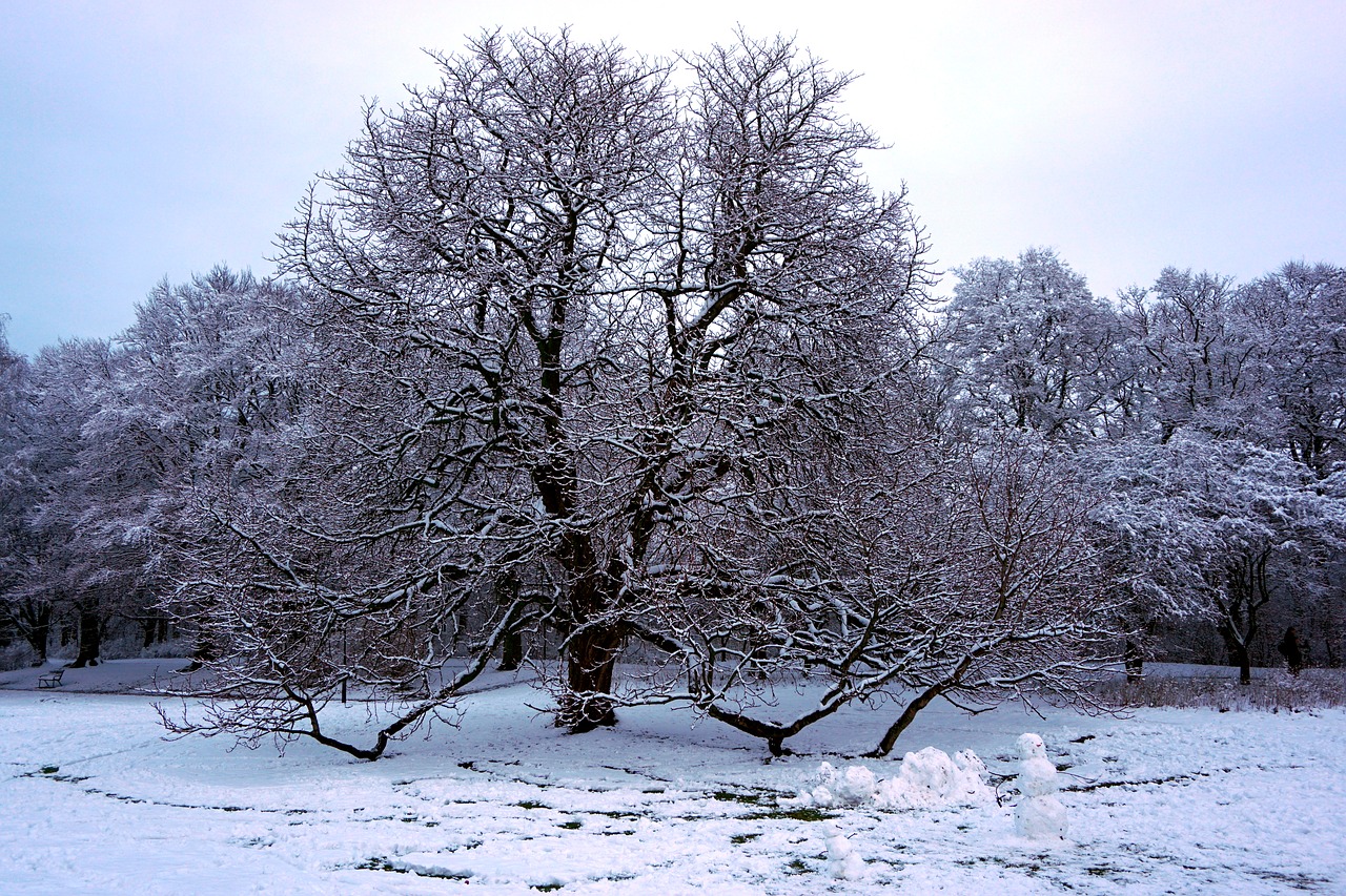 malmö  winter  sweden free photo