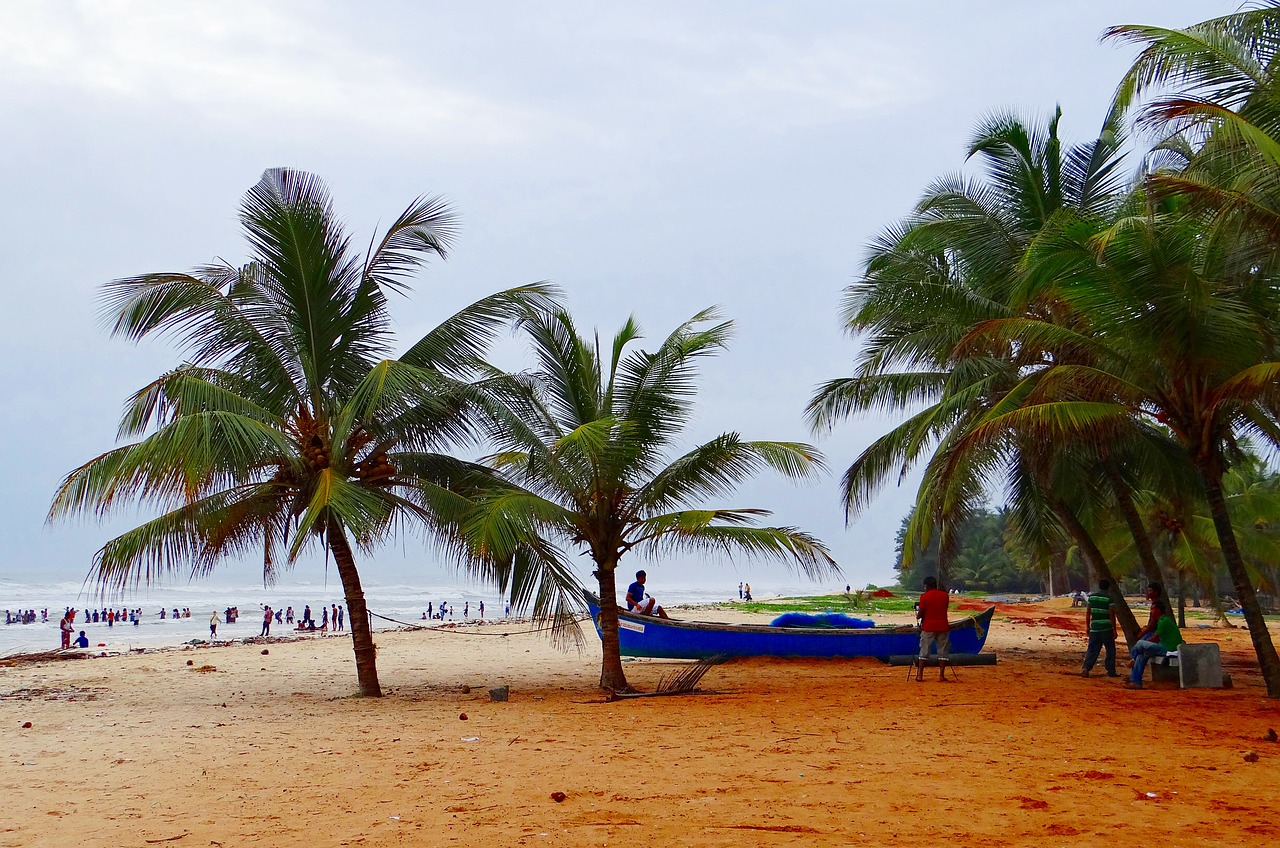 malpe beach arabian sea palm trees free photo