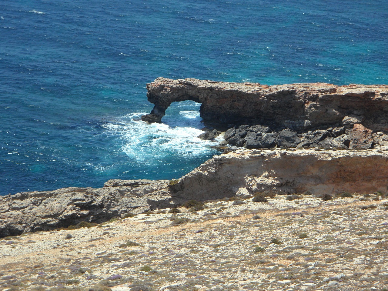 malta coast rocky free photo