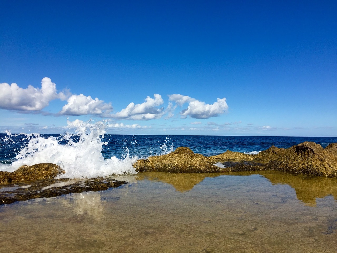 malta coast sea free photo