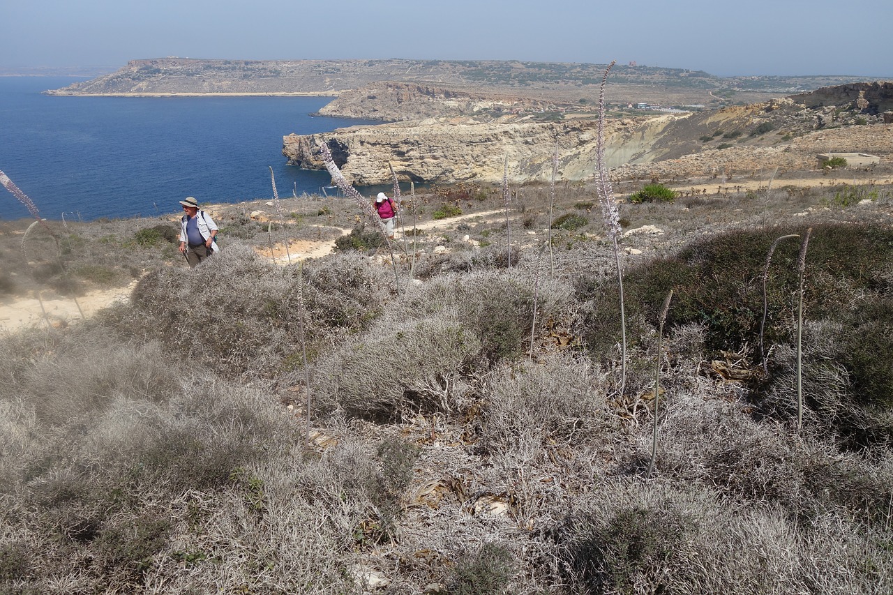 malta  side  mediterranean free photo