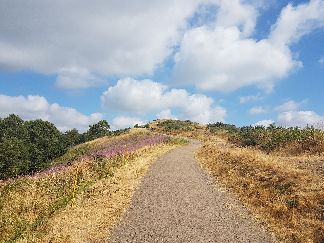 malvern  hills  walk free photo