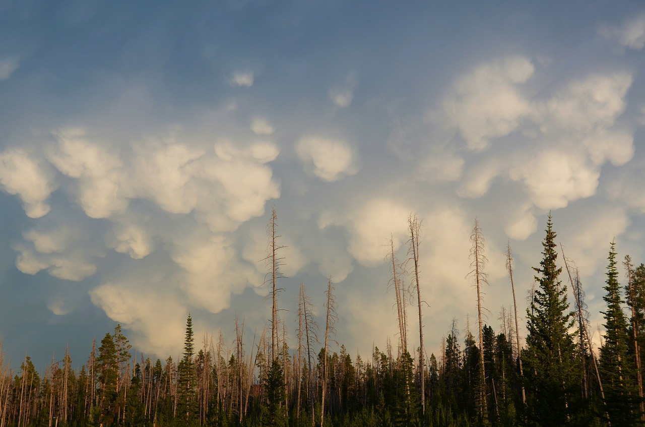 mammatus clouds sky landscape free photo