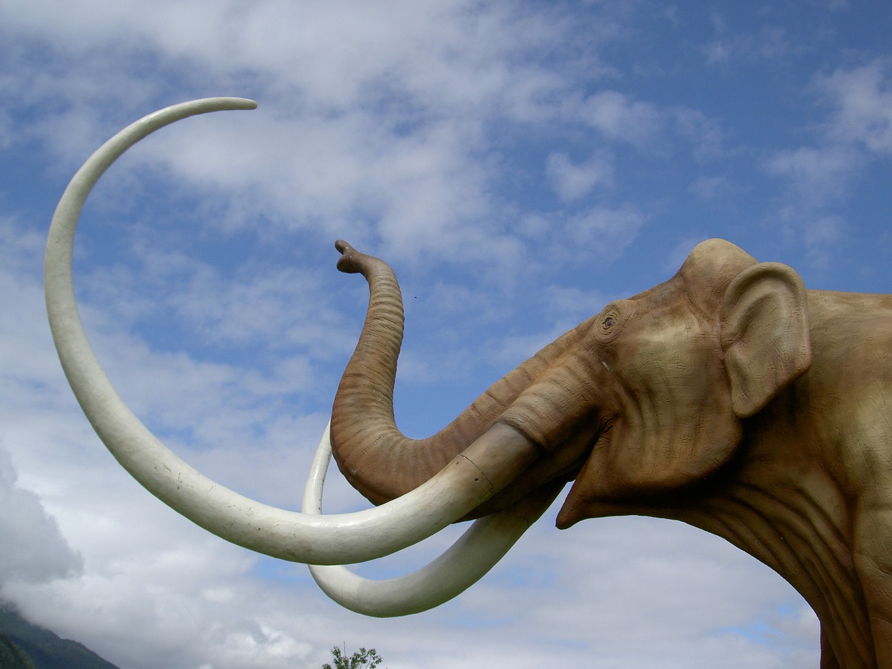 mammoth park tusks free photo