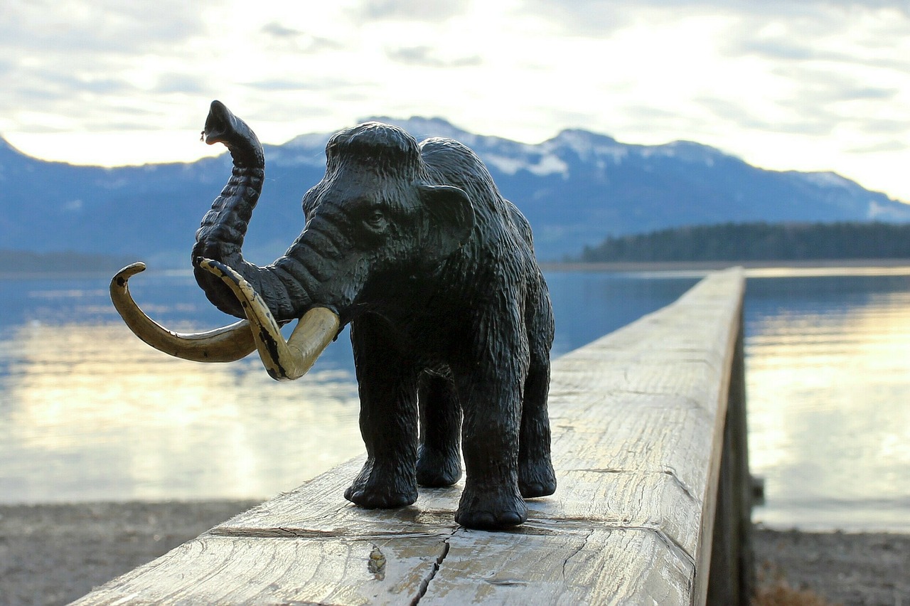 mammoth elephant tusks free photo