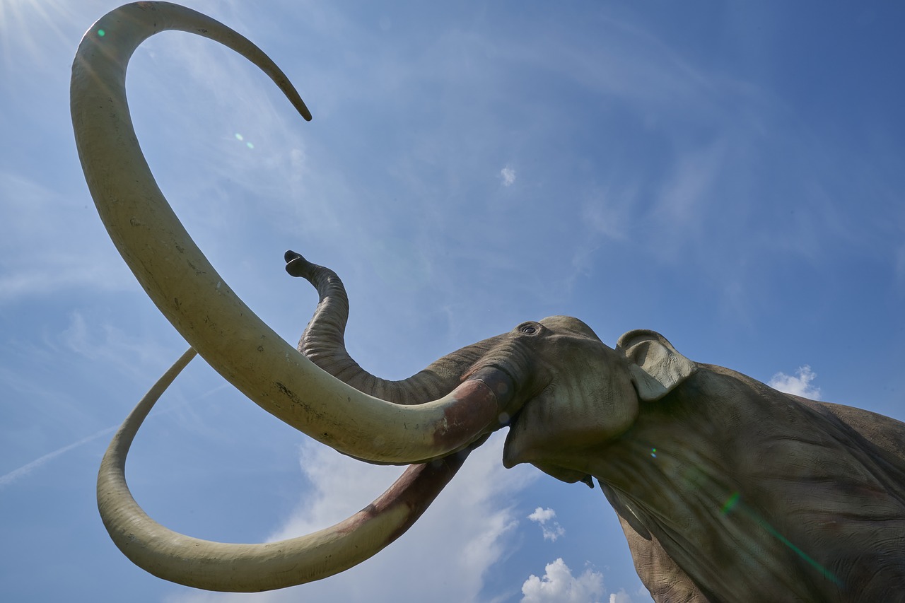 mammoth  dinosaur  extinct free photo