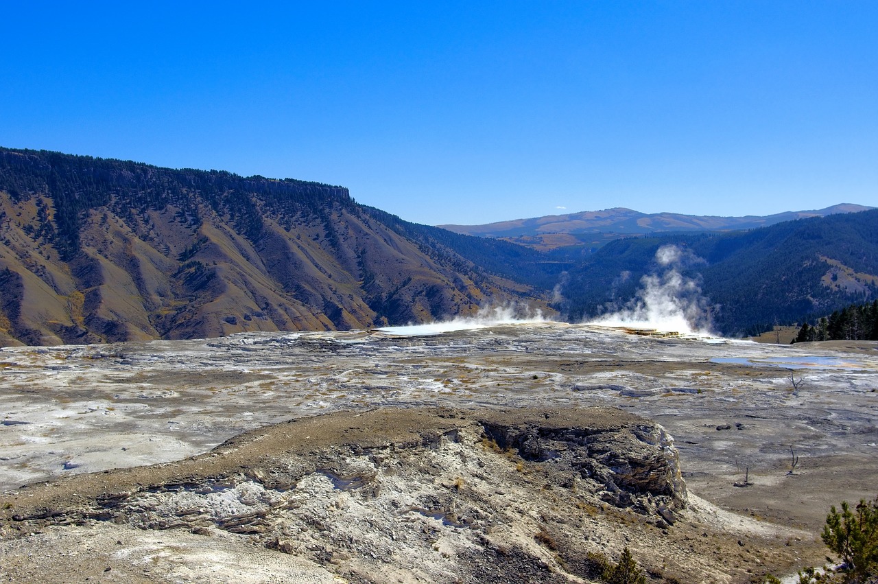 mammoth  hot  springs free photo