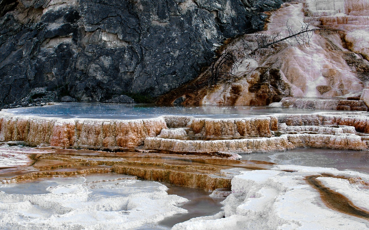 mammoth hot spring terrace free photo