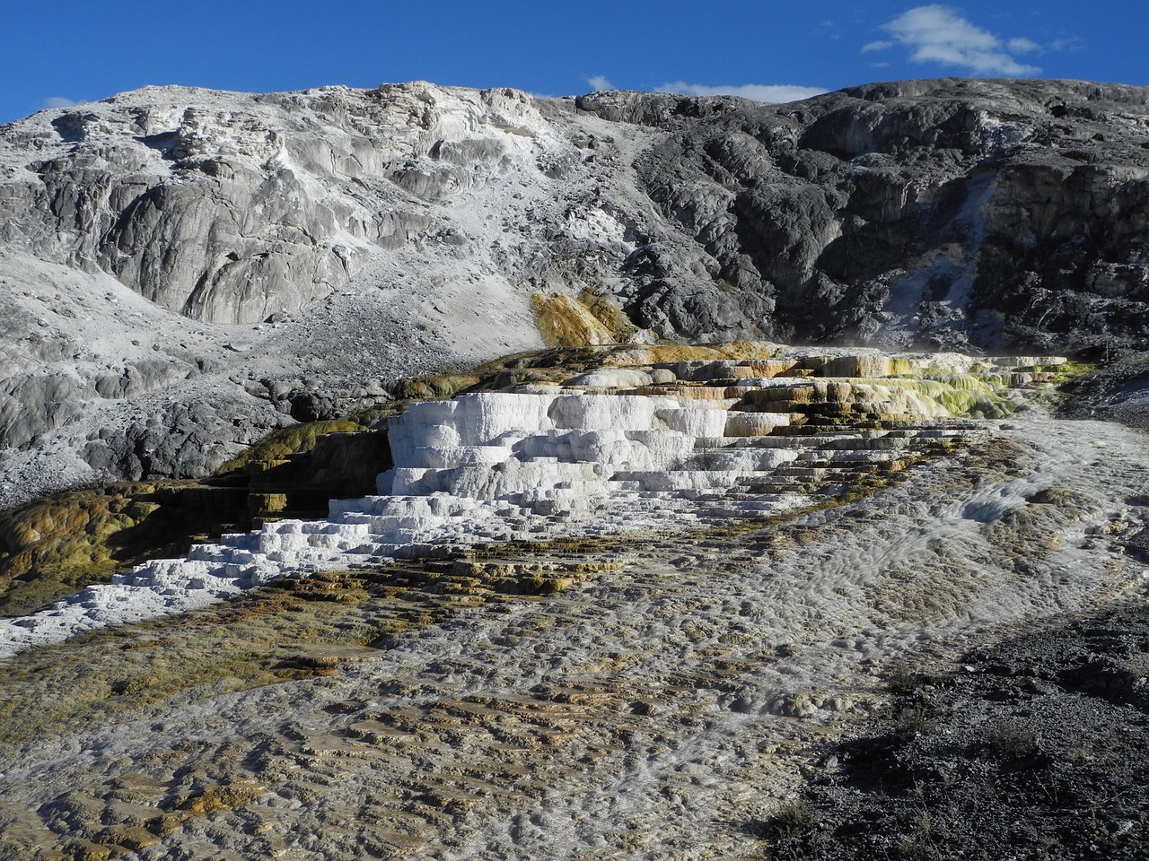 mammoth hot springs yellowstone spring free photo