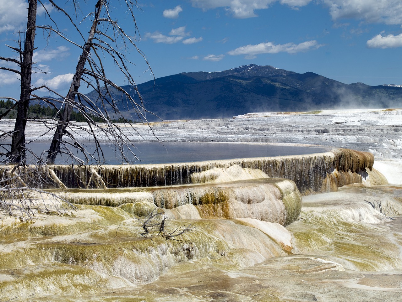 mammoth hot springs travertine yellowstone national park free photo