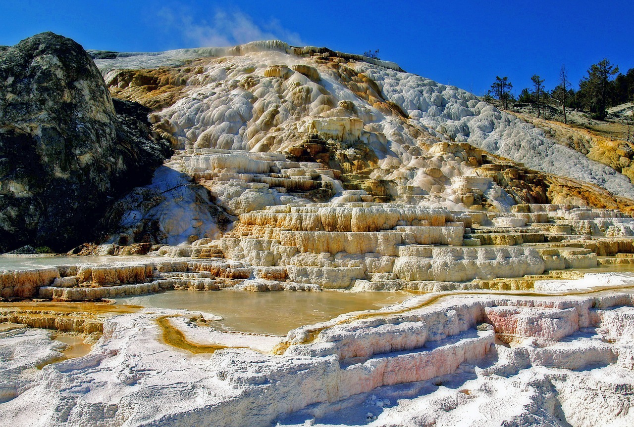 mammoth hot springs yellowstone national park water free photo