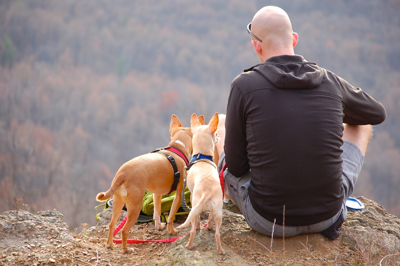 man dogs hiking free photo