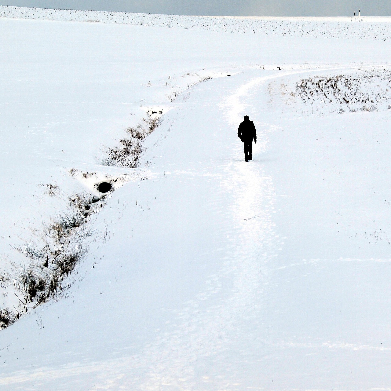 man walking snow free photo