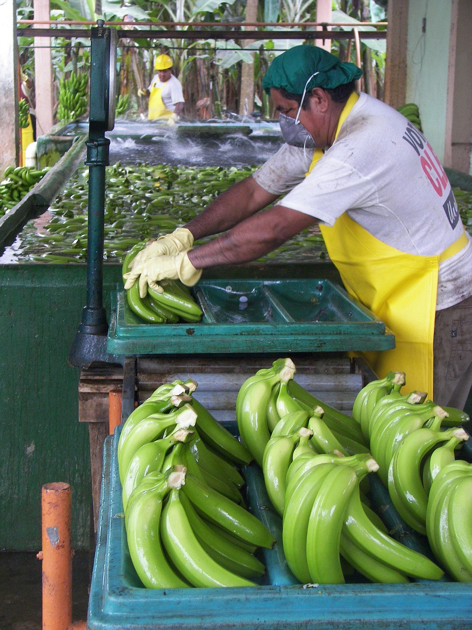 man packaging workers free photo