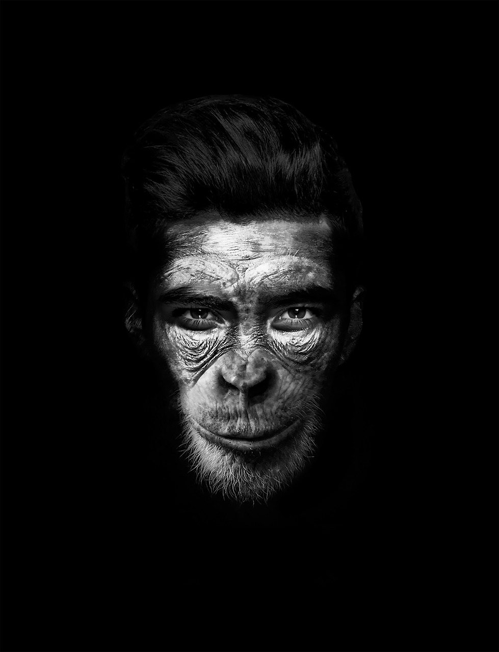man mono hombremono free photo