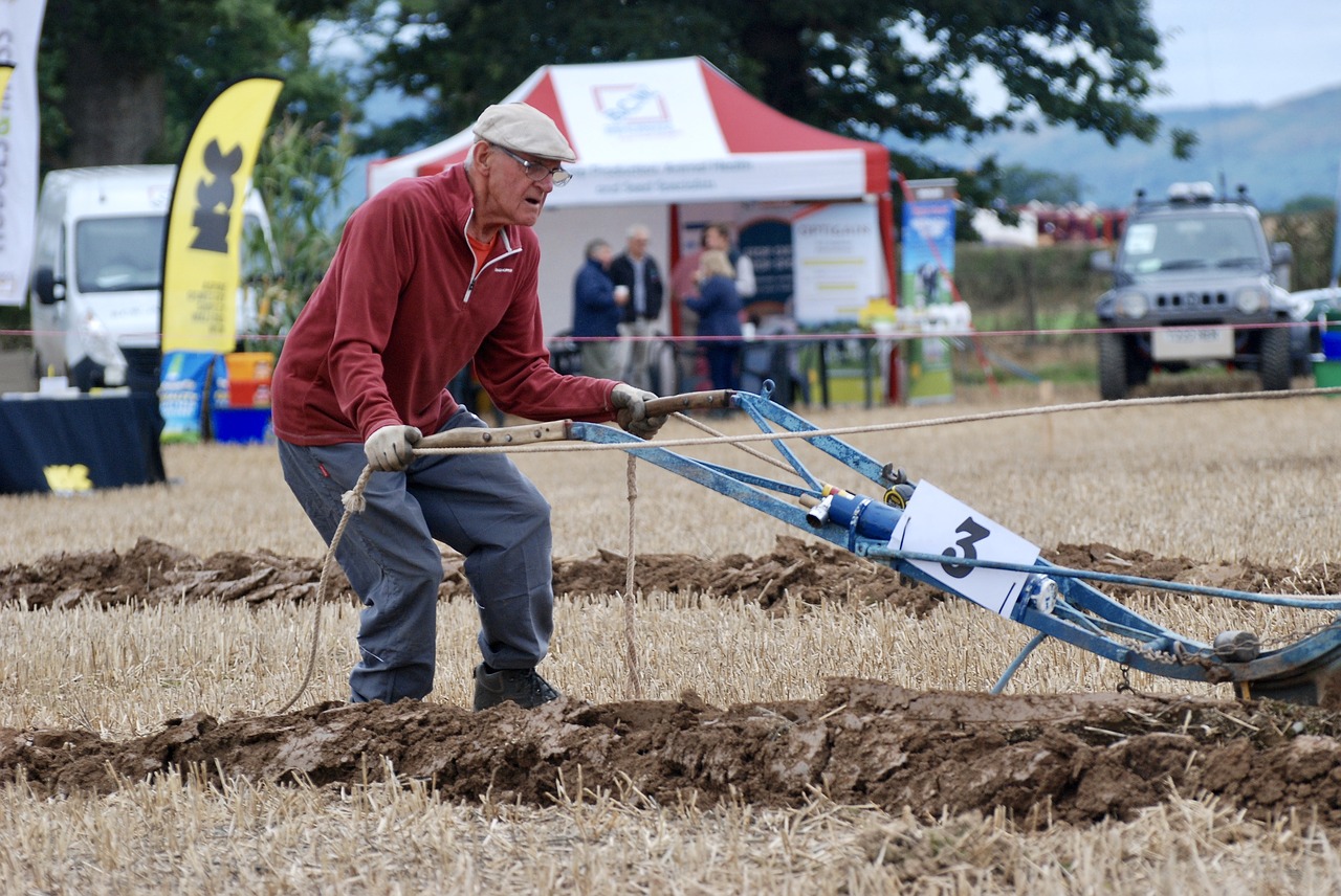 man ploughing horses free photo