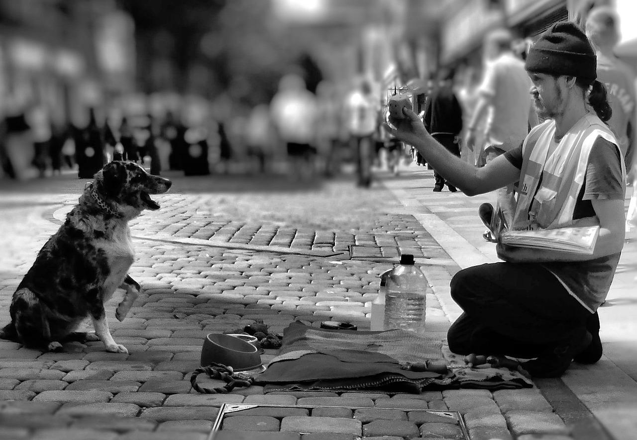 man dog begging free photo