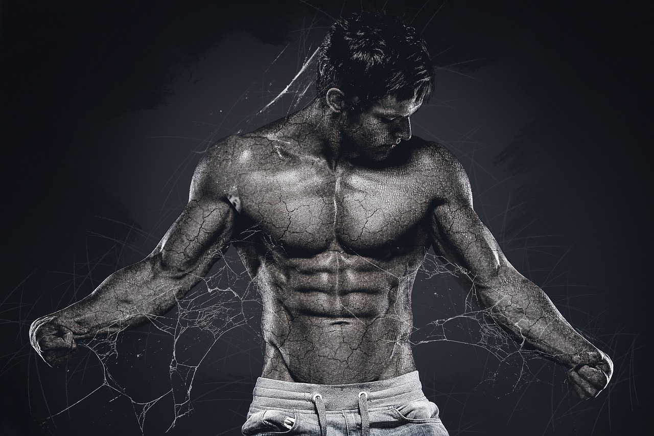 man  muscular  body free photo