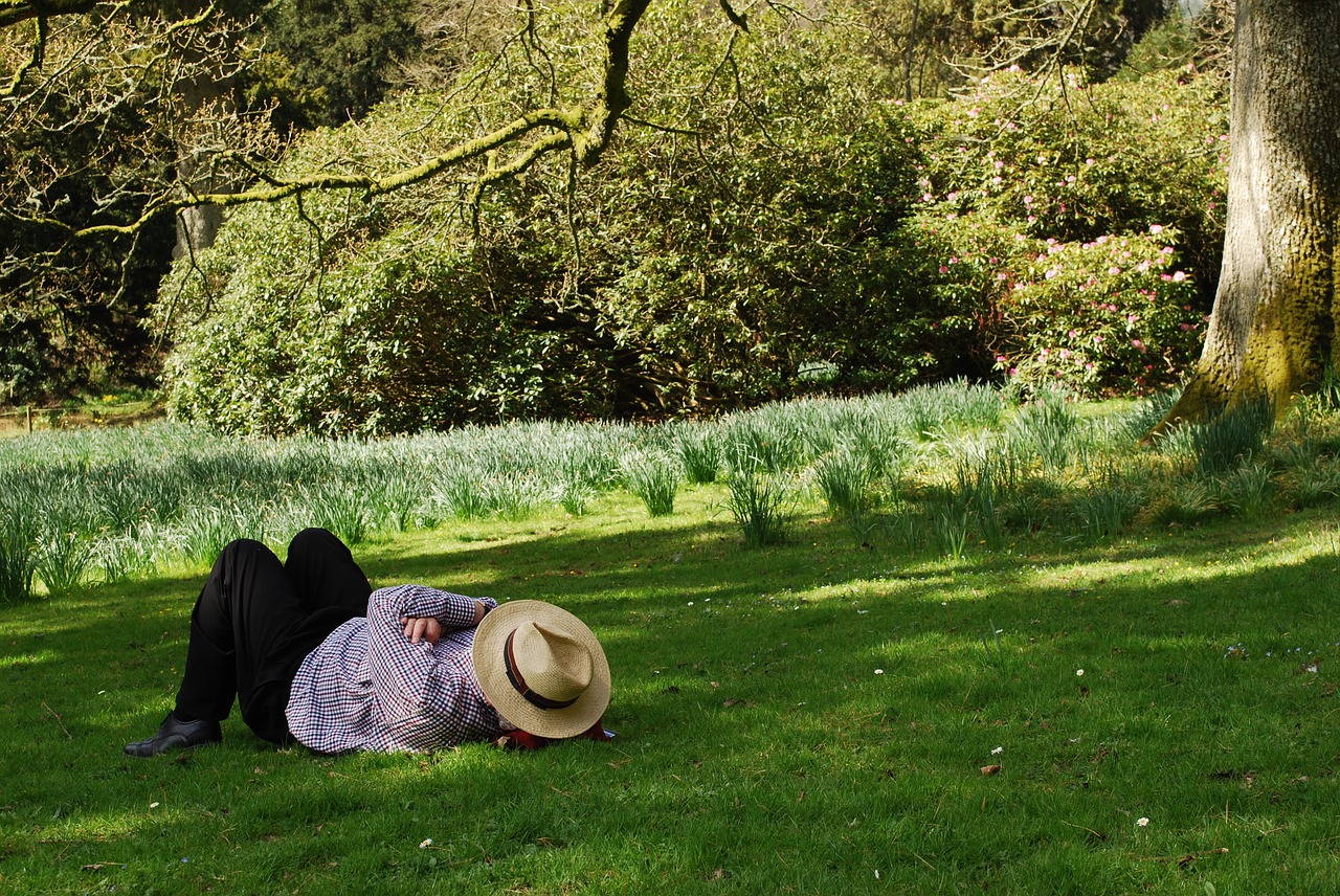 man  laid back  summer free photo