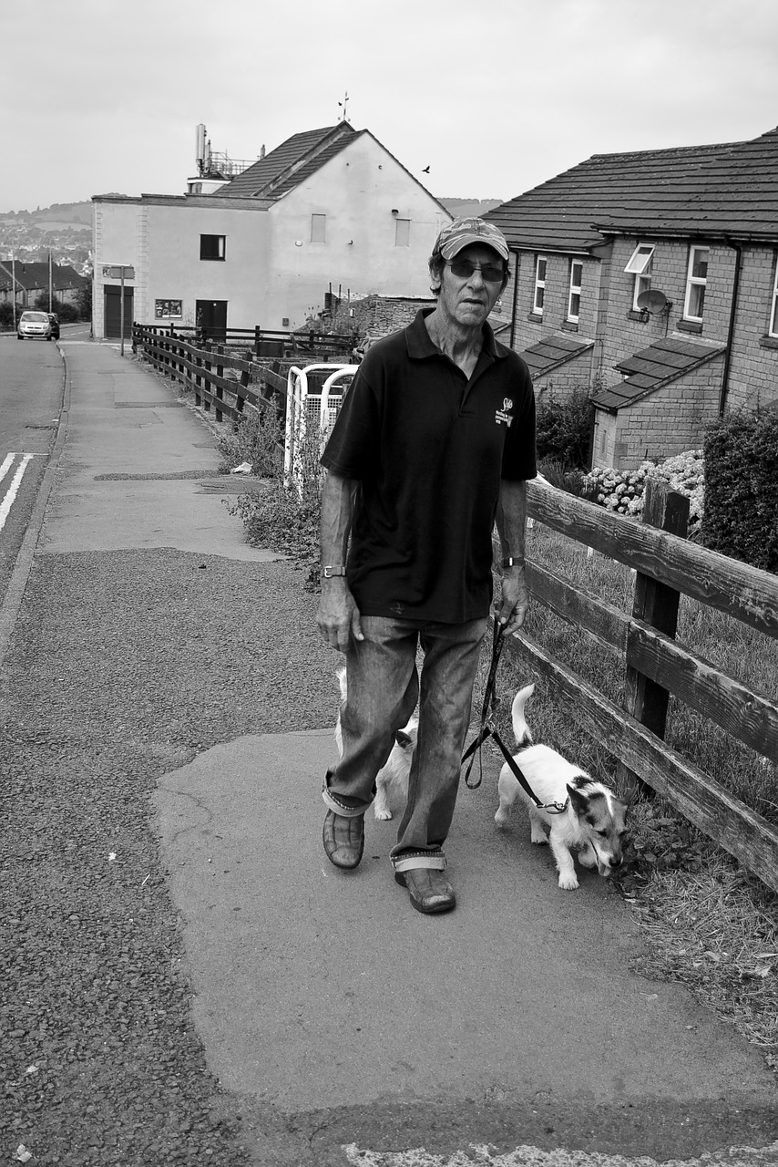 man walking dogs free photo