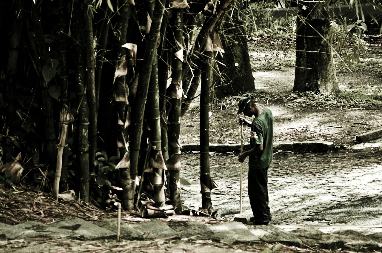 man sweeping bamboo free photo