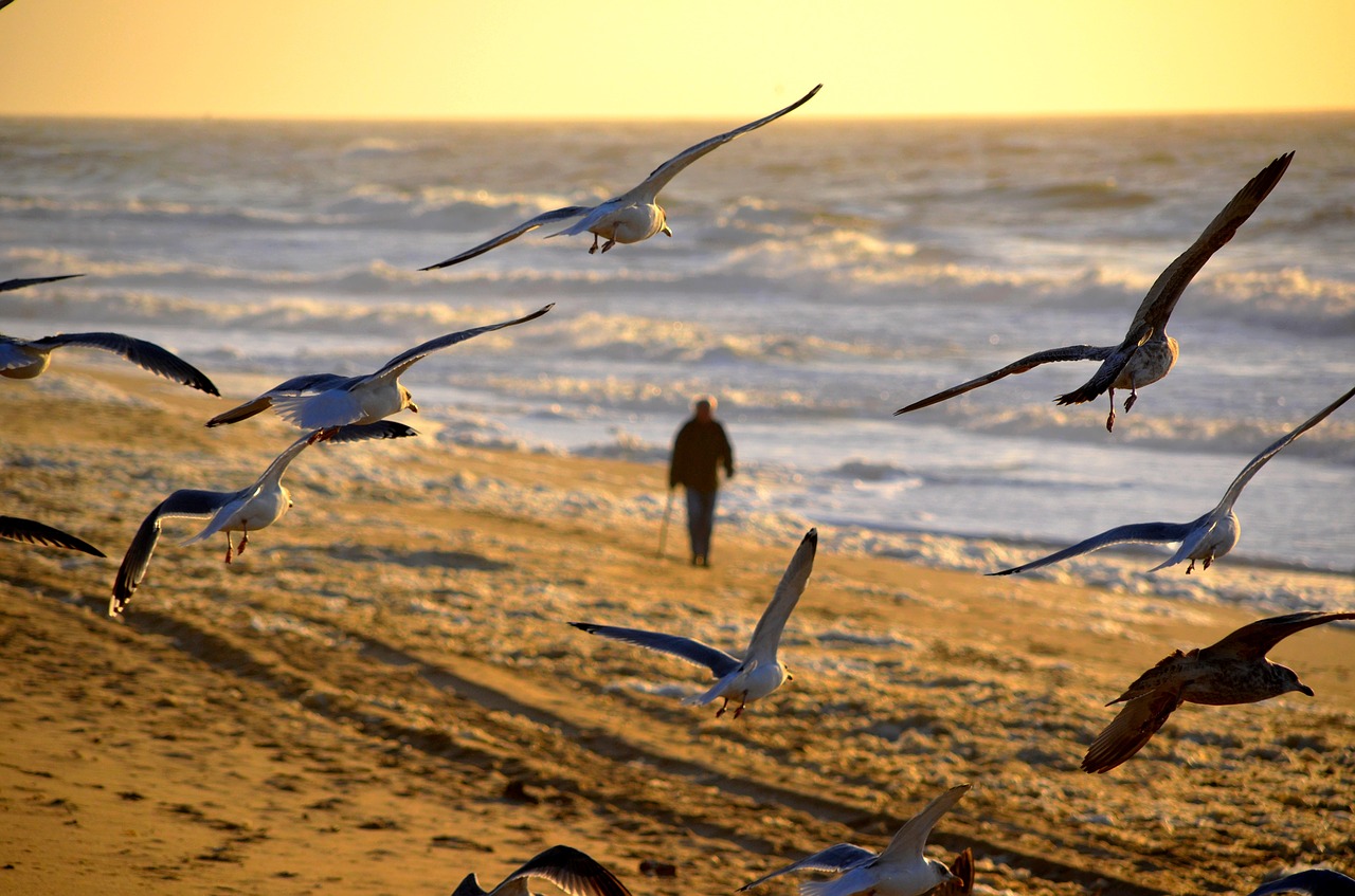 man  person  walking free photo