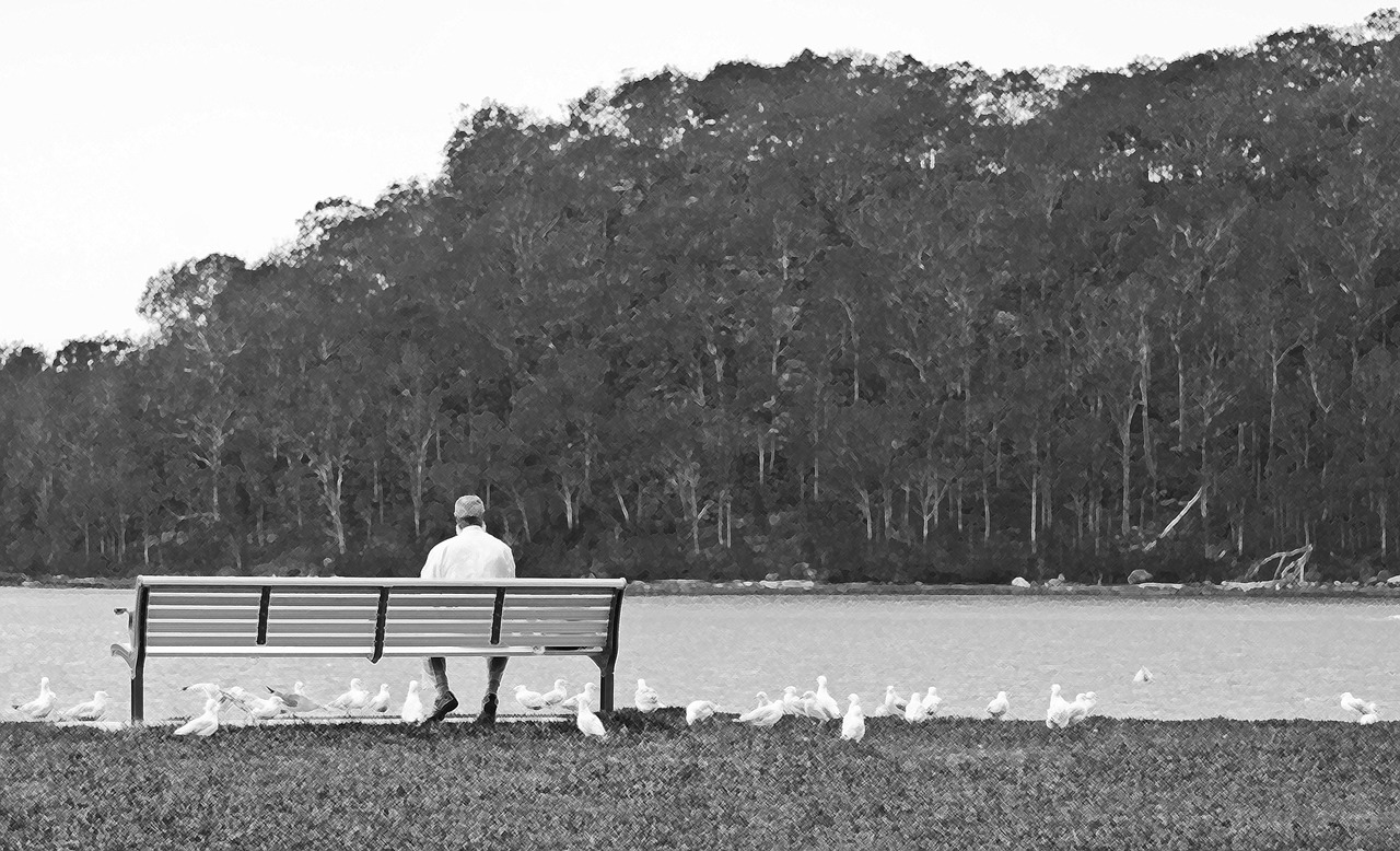 man  bench  gulls free photo