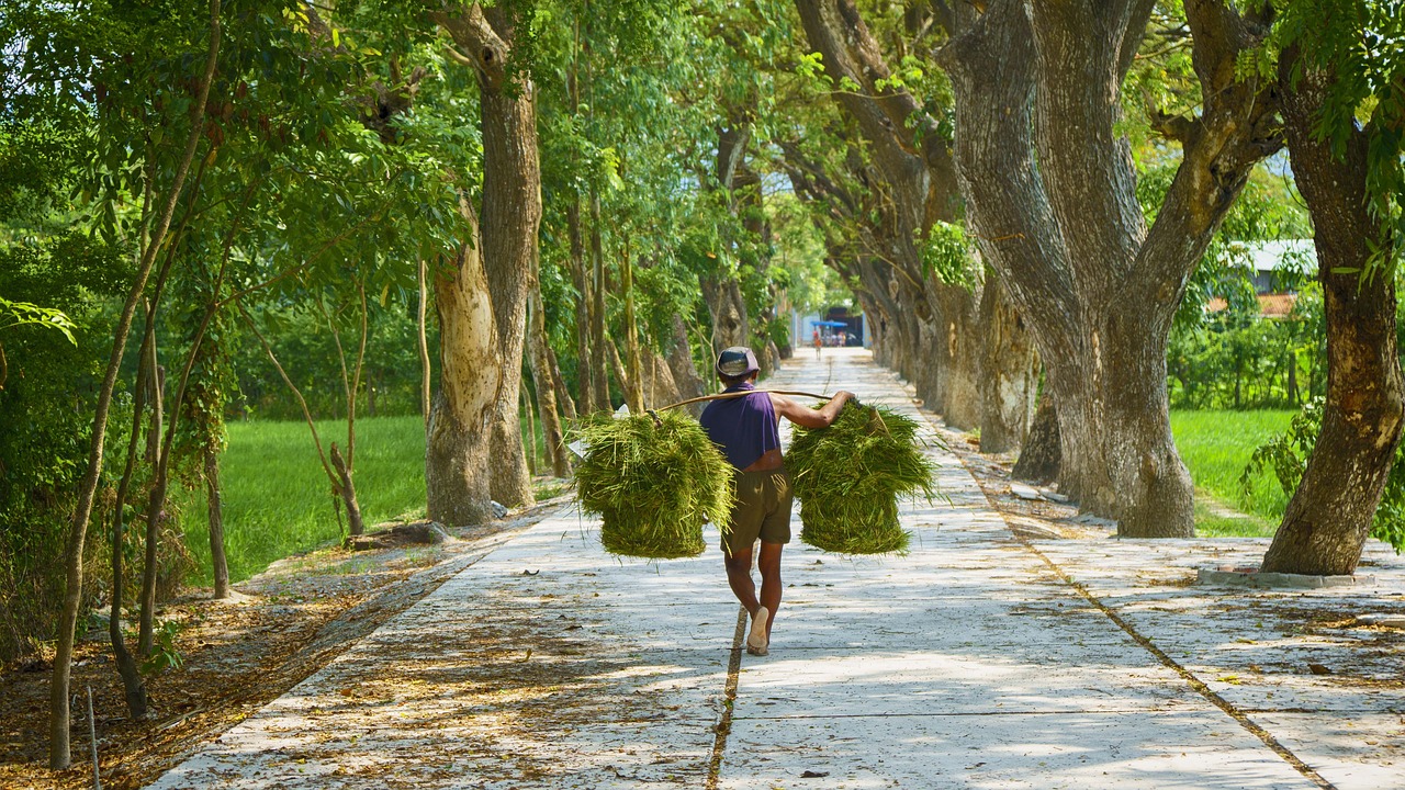 man  portrait  landscapes free photo