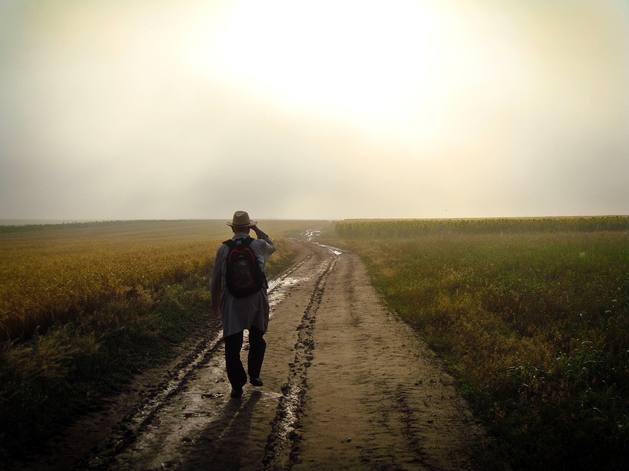 man guy walking free photo