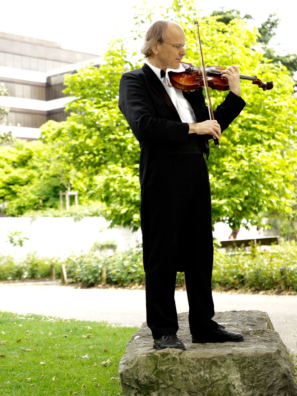 man suit violin free photo