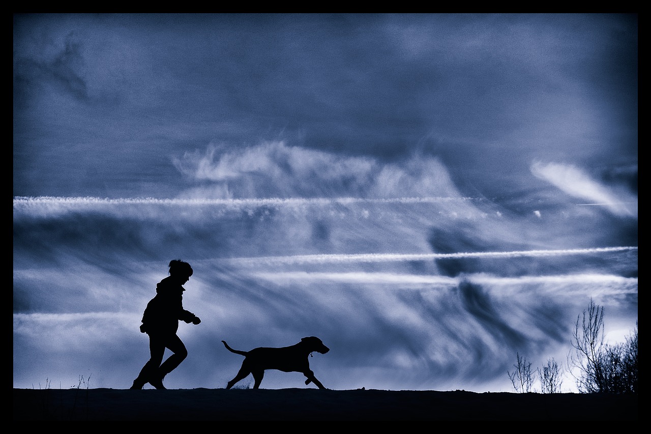 man and dog silhouette weimar run free photo