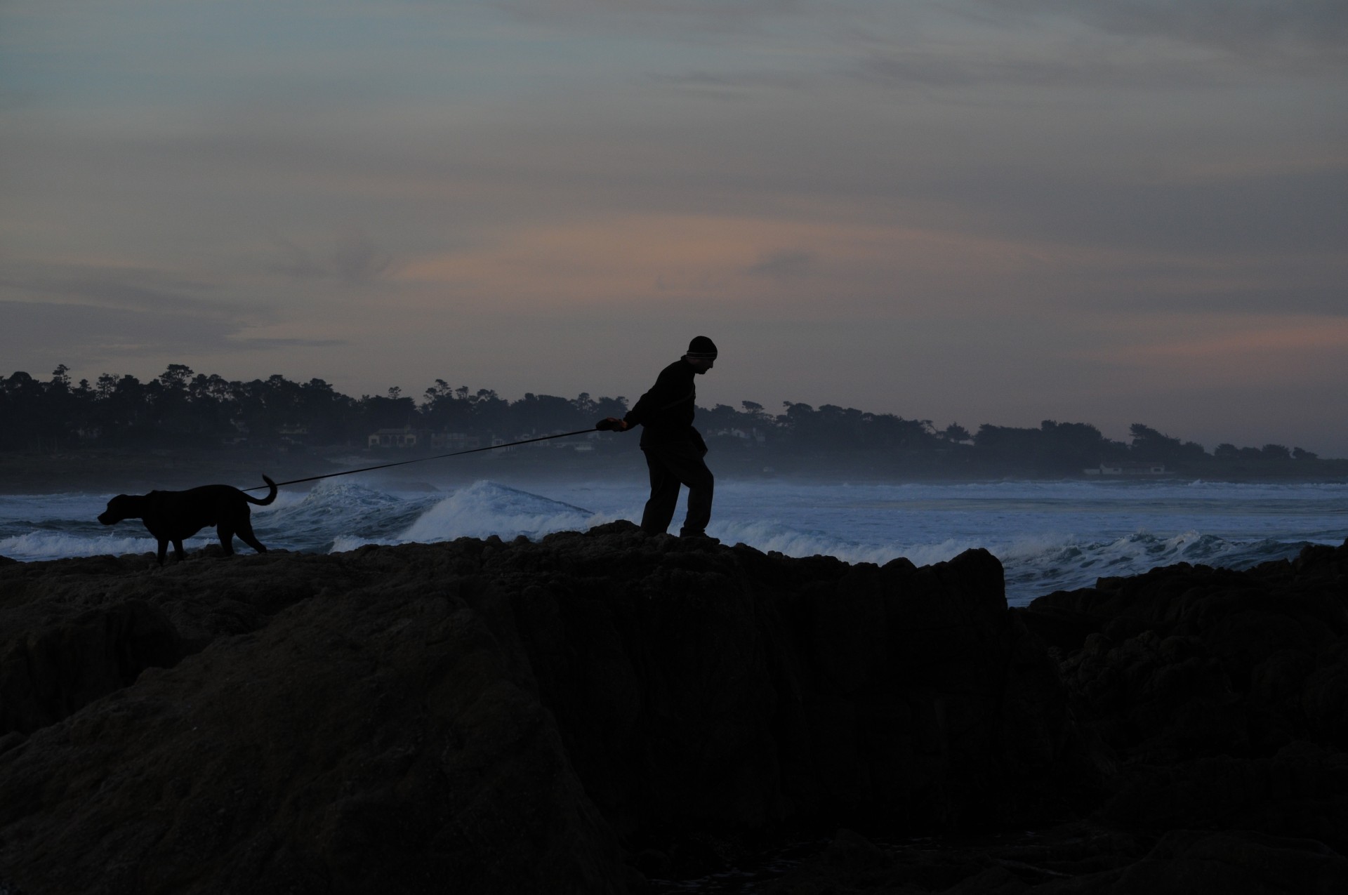 silhouette man people free photo