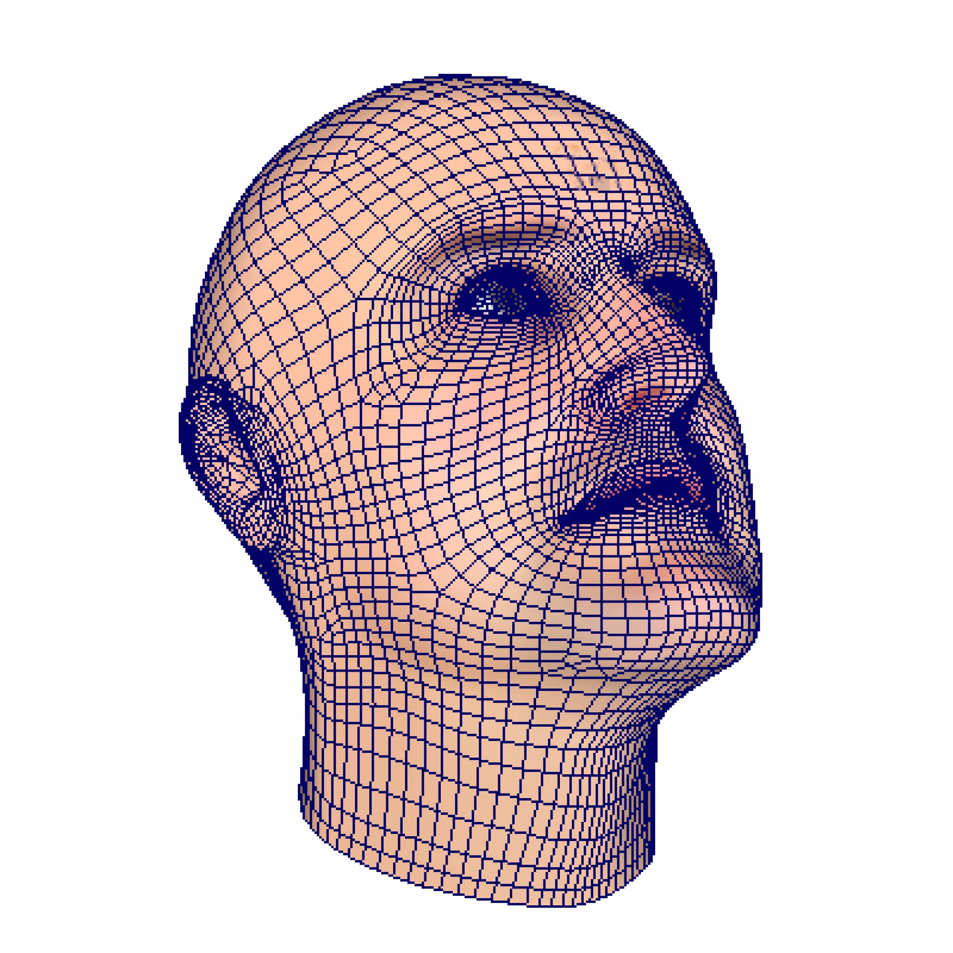 3d man head free photo