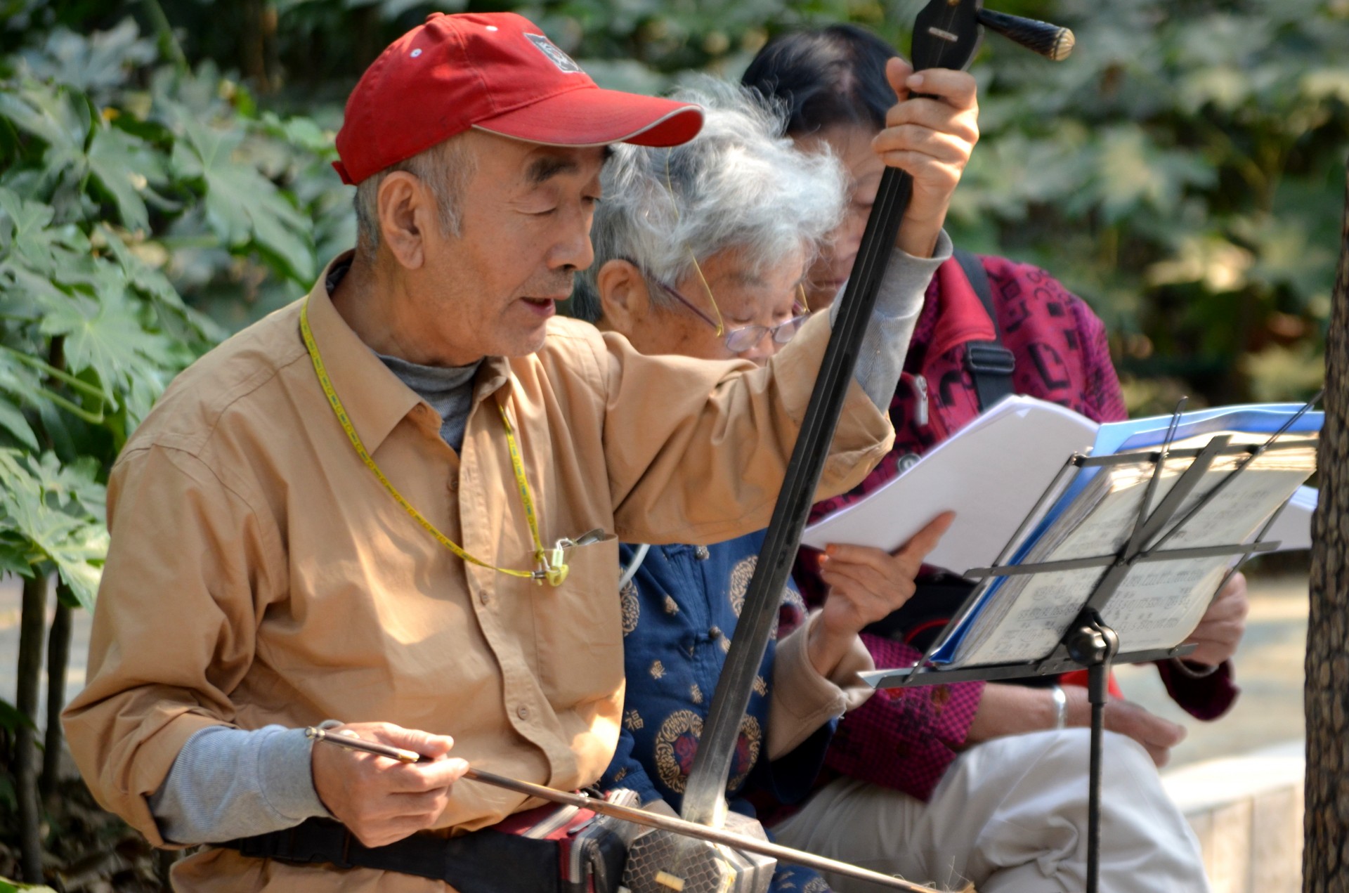 erhu chinese instrument string instrument free photo