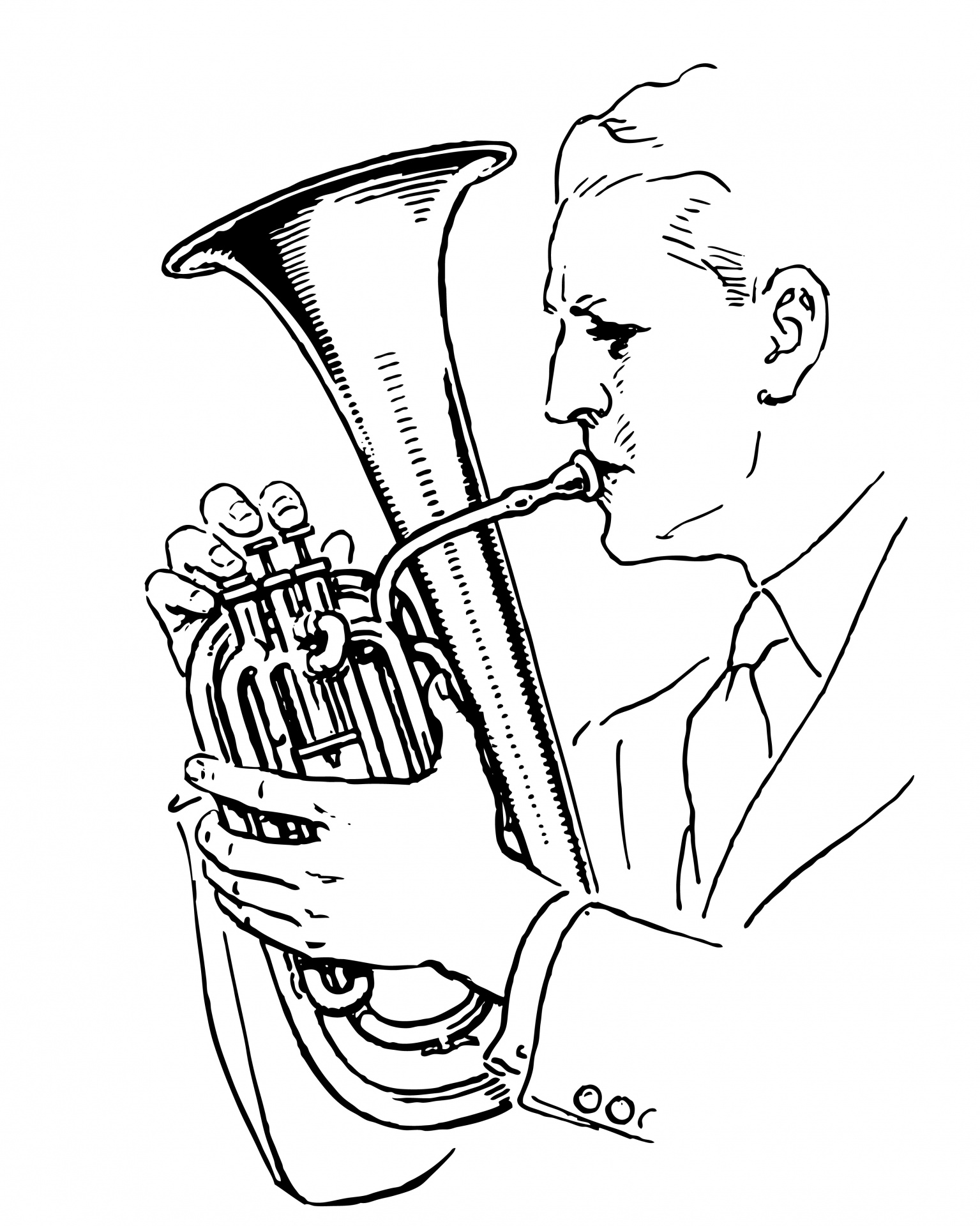 horn french horn trombone free photo