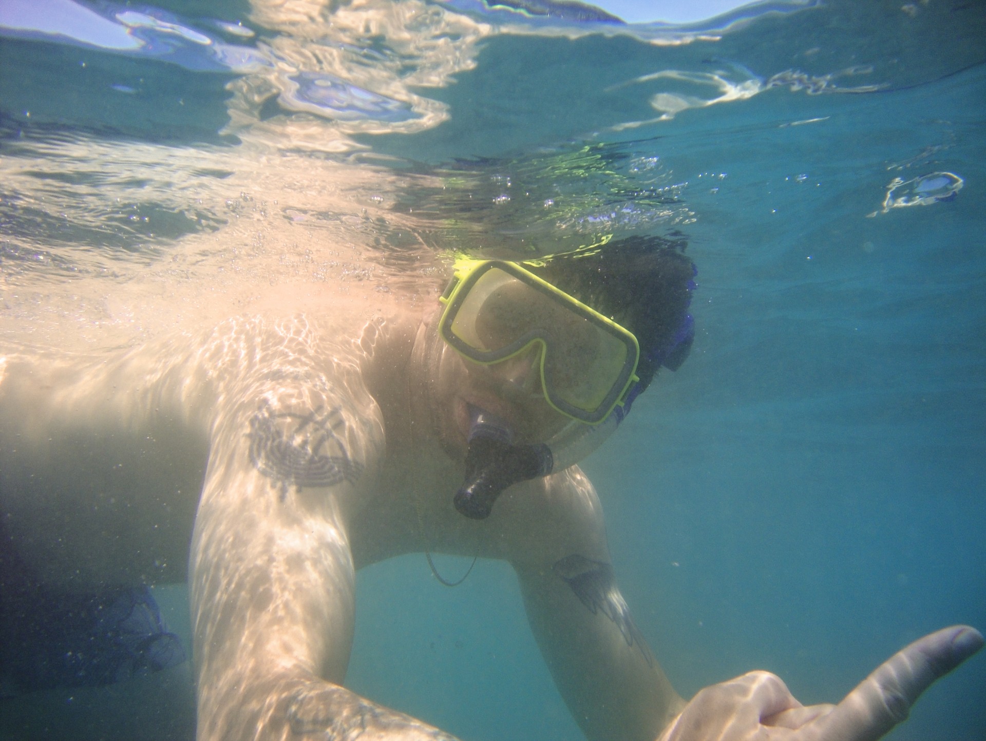 snorkel snorkeling man free photo