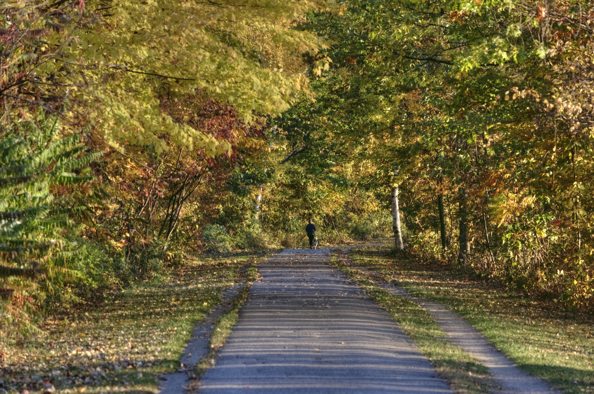 autumn fall lake free photo