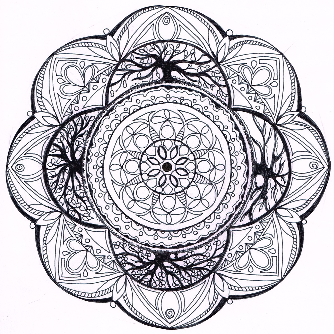 mandala zentangle 4-seasons free photo