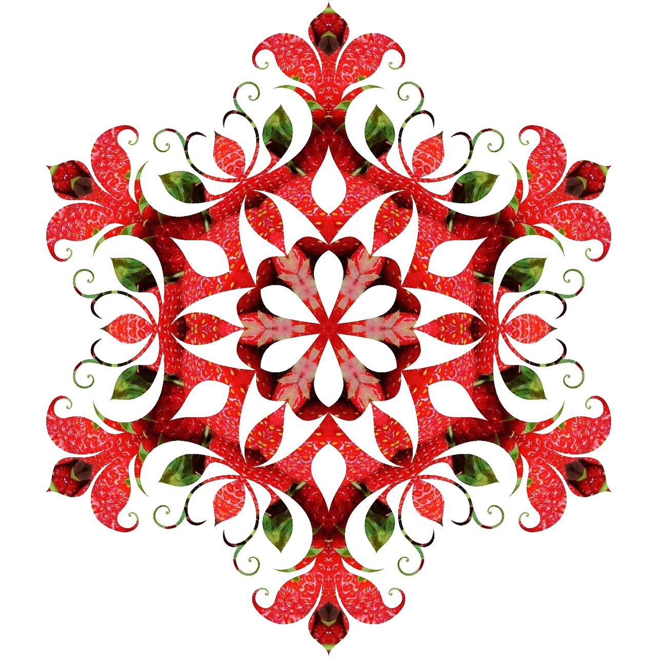 mandala pattern ornament free photo