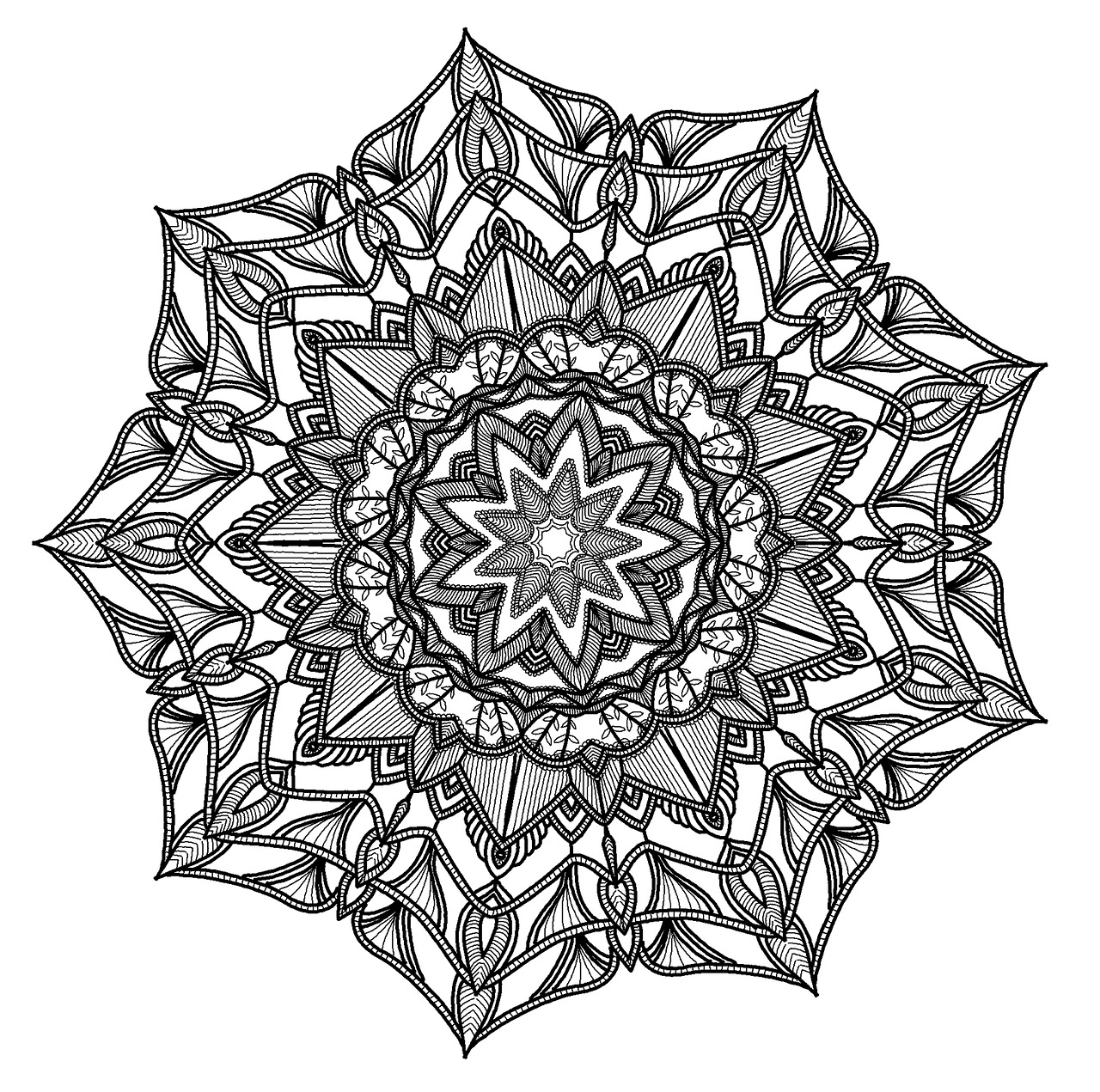 mandala pattern geometry free photo