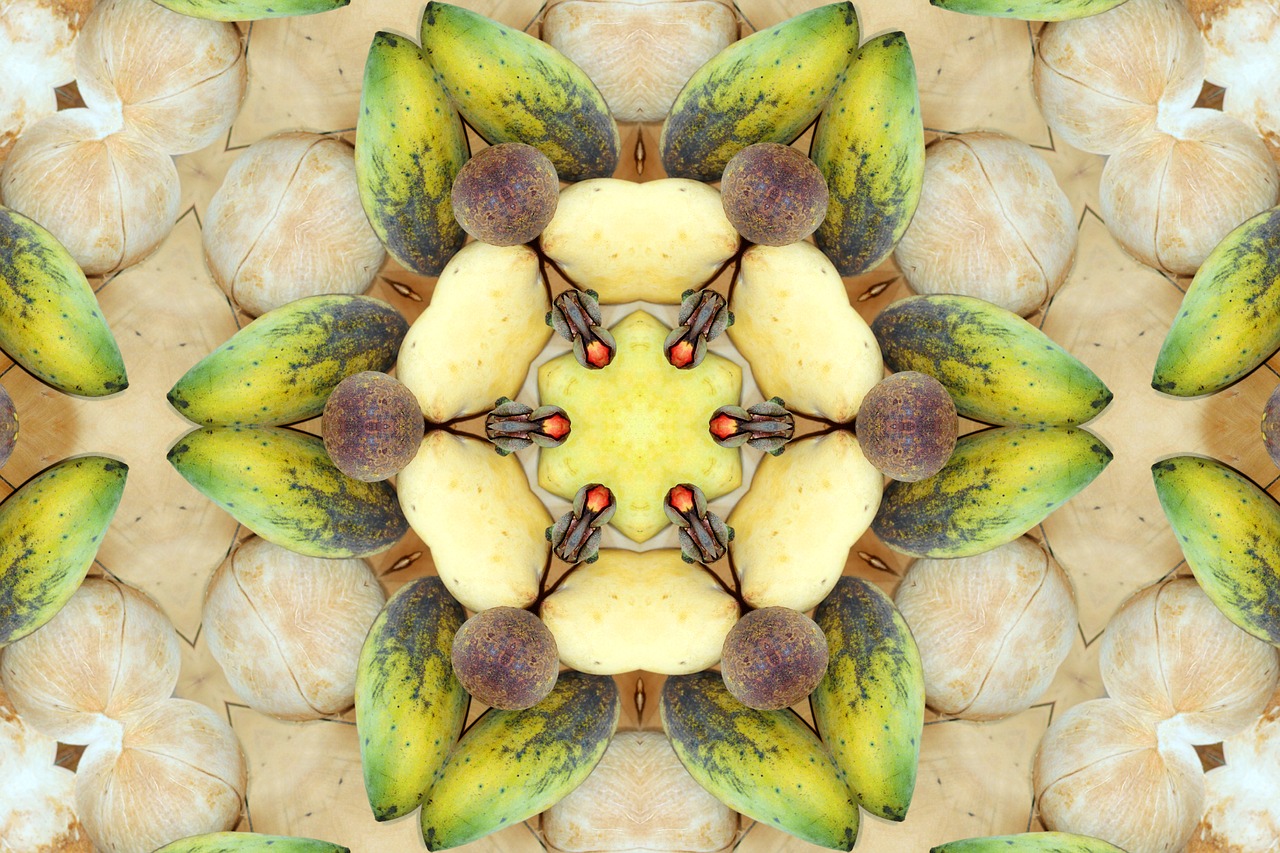 mandala fruit yantra free photo