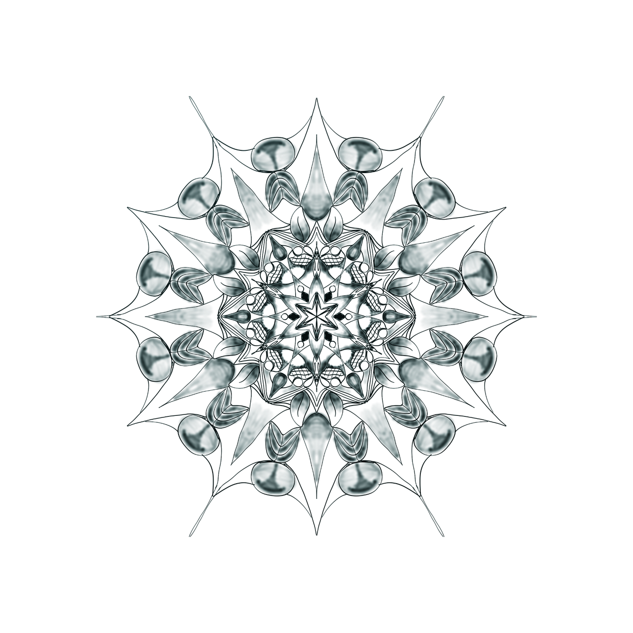 mandala isolated meditation free photo