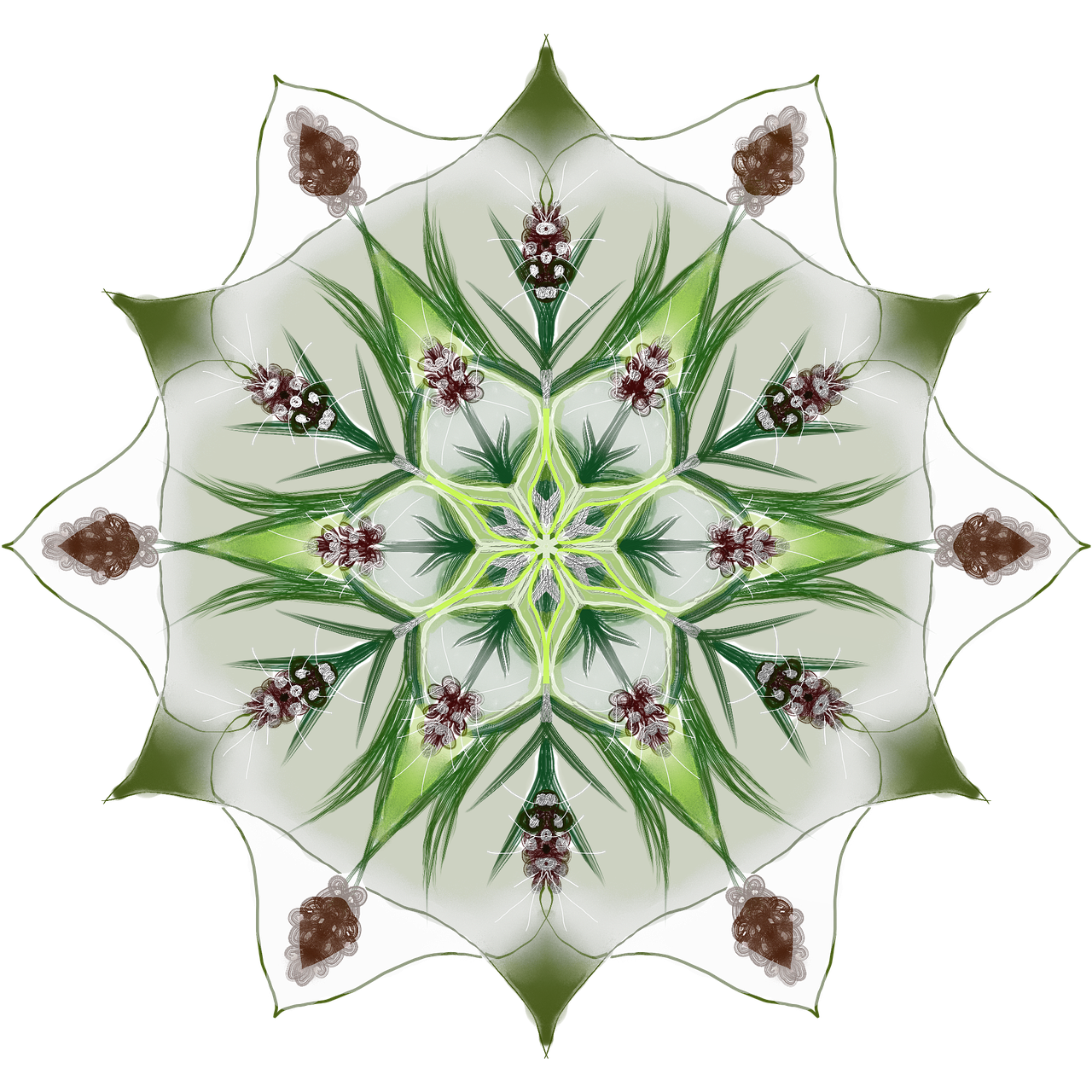 mandala blossom bloom free photo