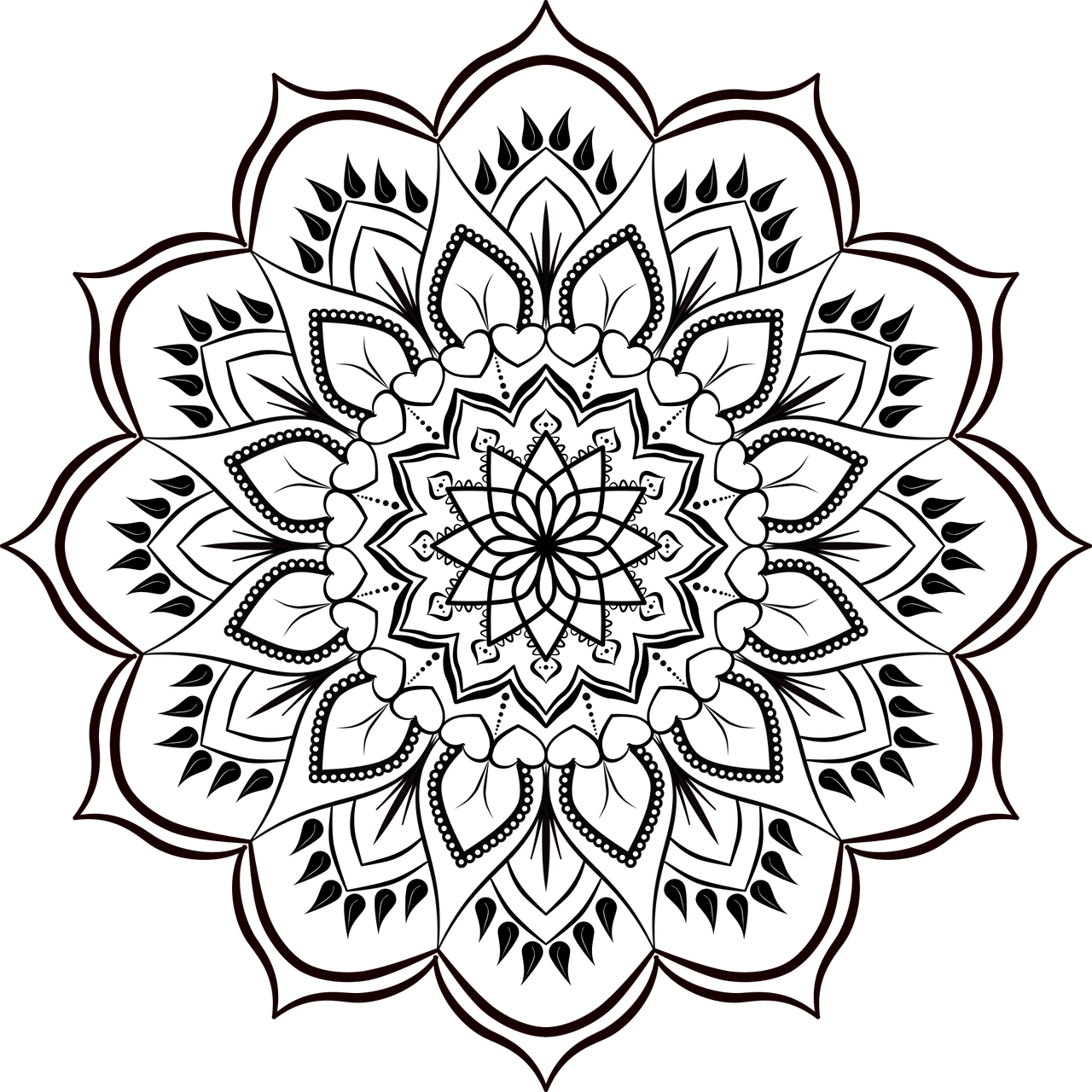 mandala  pattern  flower free photo