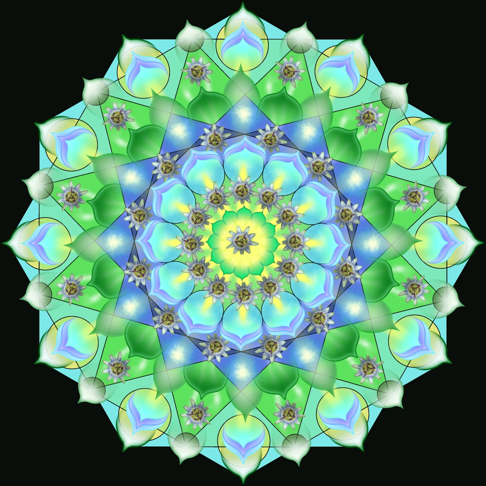 mandala symmetry ornament free photo