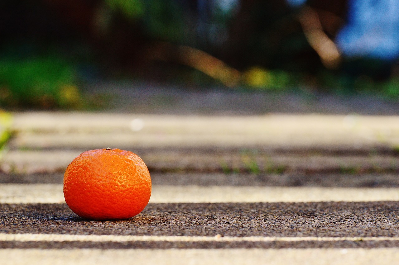 mandarin fruit citrus fruit free photo