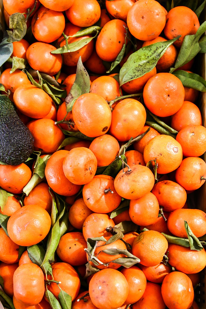 mandarin market fruit free photo