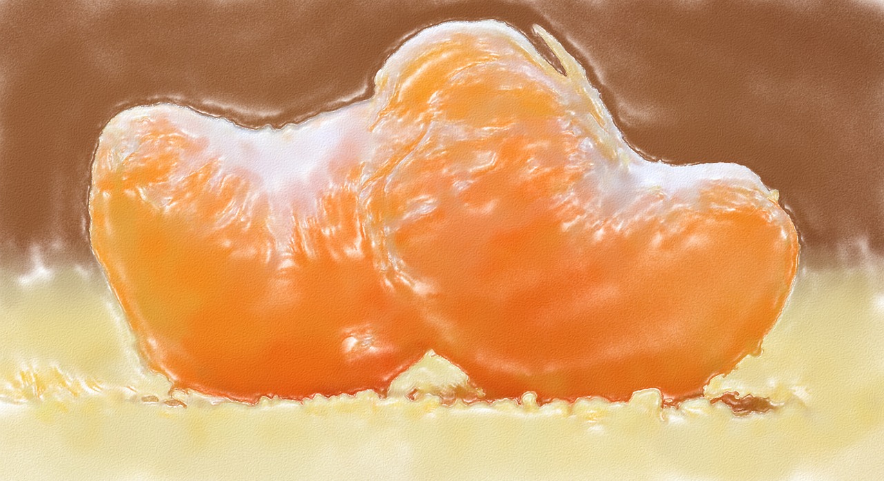 mandarin watercolour fruit free photo